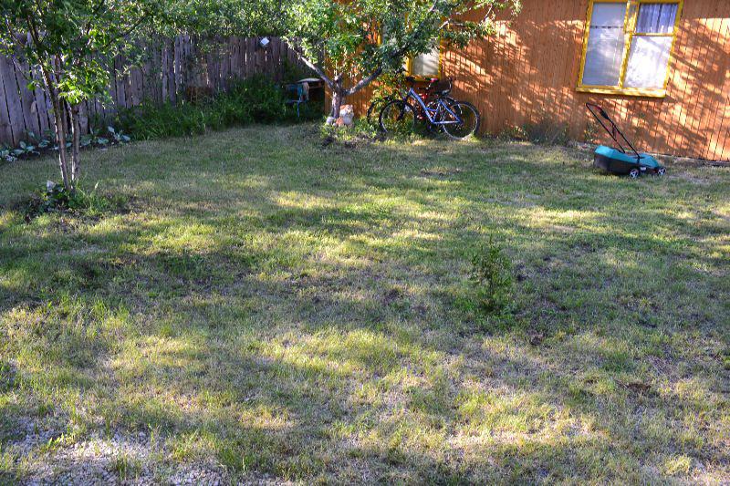 Bosch Rotak 32 Li (0600885D06) – купить газонокосилку, сравнение цен интернет-магазинов: фото, характеристики, описание | E-Katalog