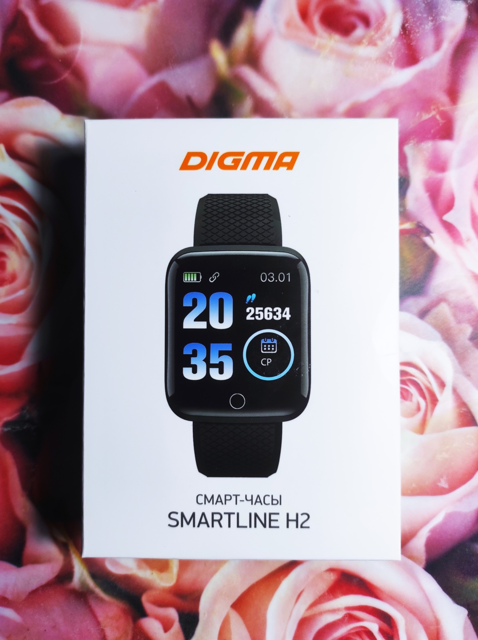 Часы digma smartline t6