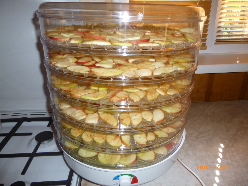 Сушка фруктов в духовке. Сушка груш в духовке электрической. Фрукты в сушилке для фруктов. Сушка фруктов в духовке с конвек. Дегидратор-сушилка airhot fd-16gr роторный.