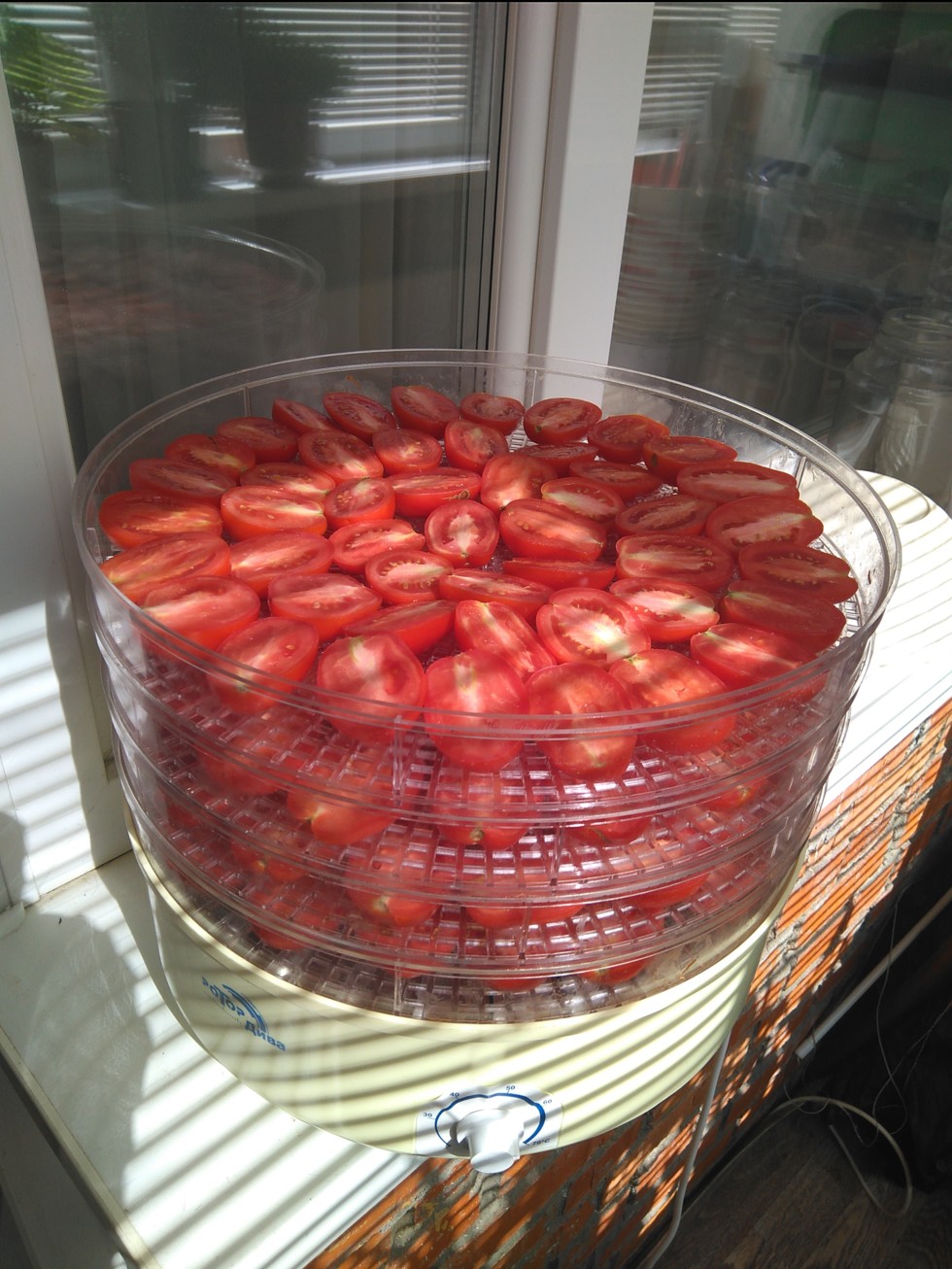 Помидоры в электросушилке. Вяленые помидоры в сушилке какая температура. Вяленые помидоры в сушилке какая температура. Вяленые томаты в электросушилке. Сушеные помидоры.
