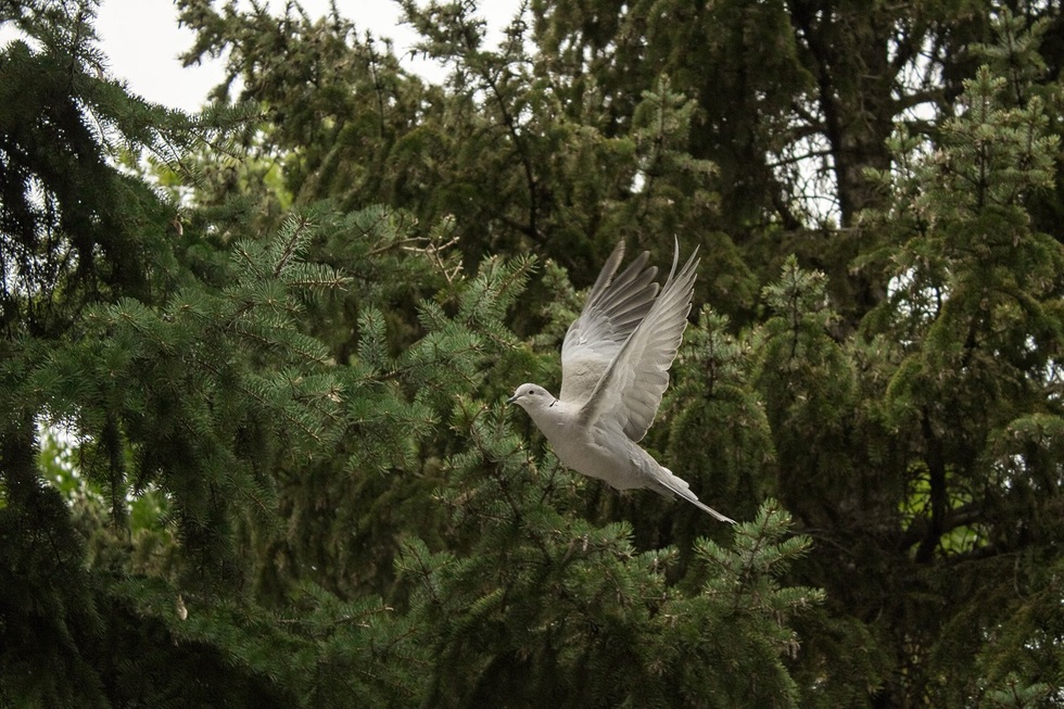 Фотографии на canon eos 2000d